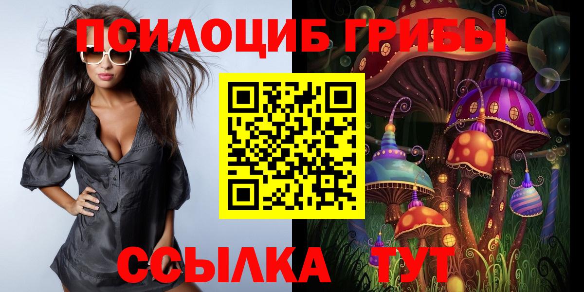 Галлюциногенные грибы Psilocybine cubensis Янаул