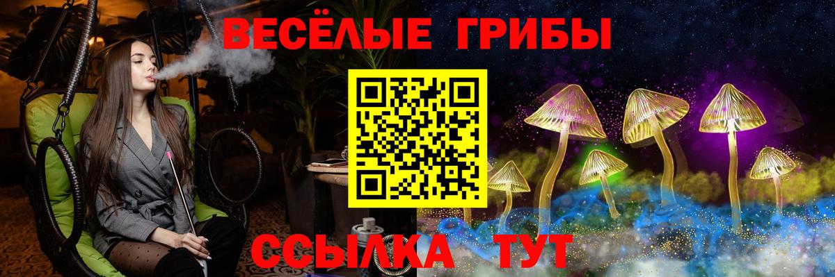 Янаул  Псилоцибиновые грибы мухоморы  Вход с VPN 
